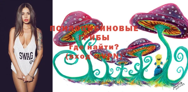 a pvp Снежинск
