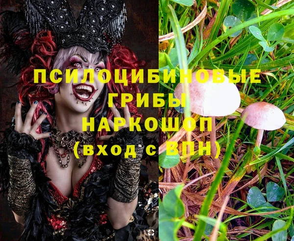 COCAINE Снежногорск
